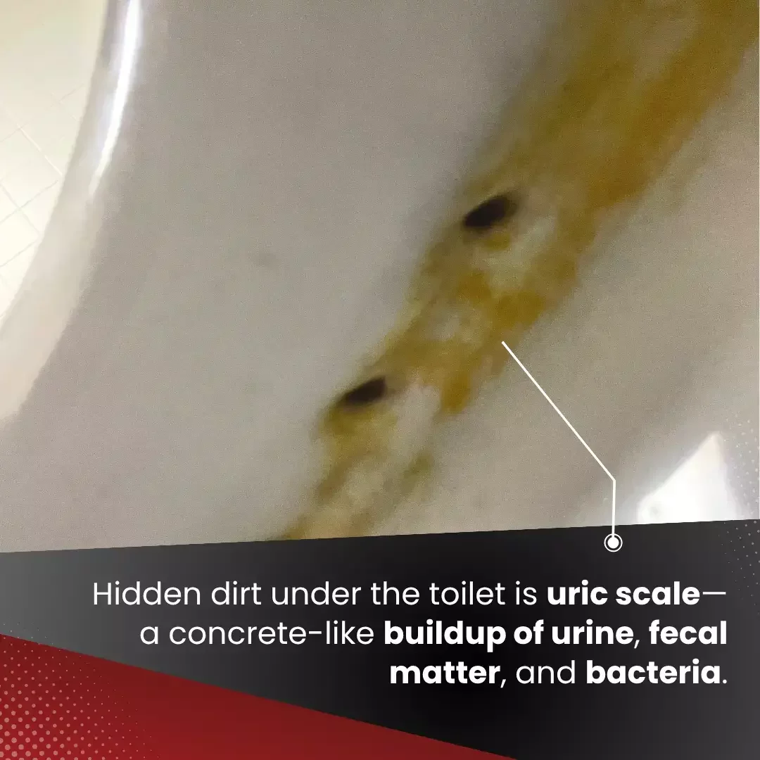 Hidden Dirt Image